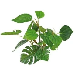 Plante Artificielle Anubias AMTRA - 20 Cm