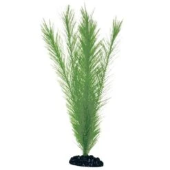 Plante Artificielle Bliyxa AMTRA