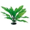 Plante Artificielle Echinodorus AMTRA