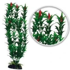 Plante Artificielle Egeria Flower Bicolour AMTRA