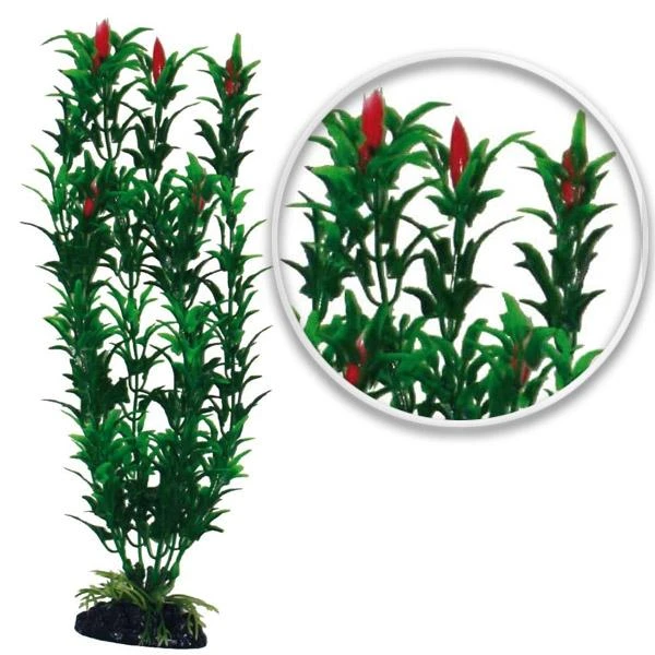 Plante Artificielle Egeria Flower Bicolour AMTRA