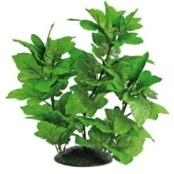 Plante Artificielle Hygrophila AMTRA - 30 Cm