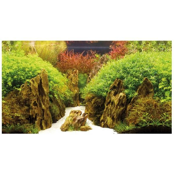 Poster De Fond Double Face Canyon / Woodland - HOBBY 60 X 30 Cm – Image 2