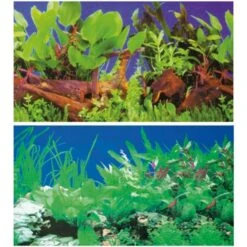 Poster De Fond Double Face Plantes 1 / 5 - HOBBY 120 X 50 Cm
