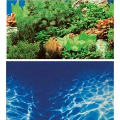 Poster De Fond Double Face Plantes 8 / Marin Blue - HOBBY 120 X 50 Cm