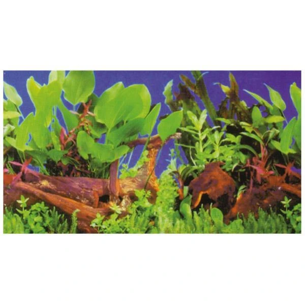 Poster De Fond Double Face Plantes 1 / 5 - HOBBY 120 X 50 Cm – Image 2