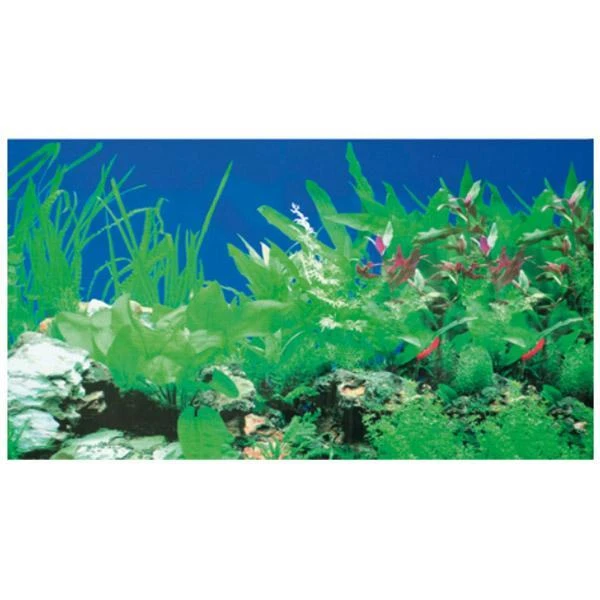 Poster De Fond Double Face Plantes 1 / 5 - HOBBY 120 X 50 Cm – Image 3