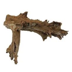 Racine Naturelle De Mangrove - XXXL 120 à 180 Cm HOBBY