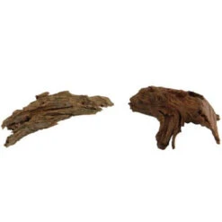 Racine Naturelle De Mangrove - S 15 à 25 Cm HOBBY