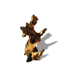 Racine Naturelle De Mopani - 30 à 45cm AMTRA