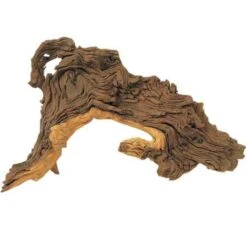 Racine Naturelle De Mopani - S 15 à 25cm HOBBY