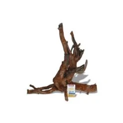 Racine Naturelle MoorWood - 15 à 25cm AMTRA