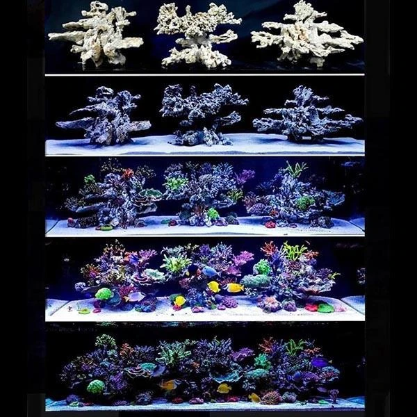 Roche Céramique Column Natur - 50 Cm ARKA – Image 2