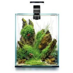 Nano-Aquarium ShrimpSet Smart Day & Night 20 Noir AQUAEL - 19L