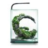 Nano-Aquarium ShrimpSet Smart Day & Night 30 Noir AQUAEL - 30L