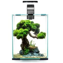 Nano-Aquarium ShrimpSet Smart Day & Night 10 Noir AQUAEL - 10L