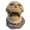 Tête De Mort Skull Opening - 15,5 Cm