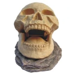 Tête De Mort Skull Opening - 15,5 Cm