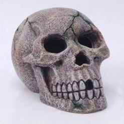 Tête De Mort - 15 Cm