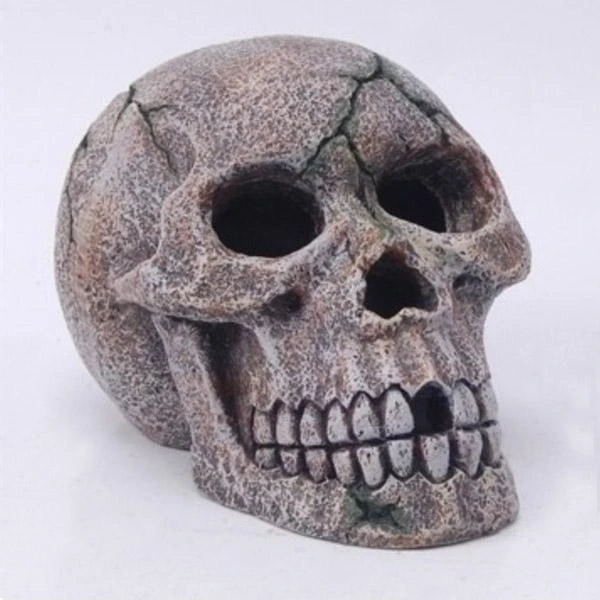 Tête De Mort - 15 Cm