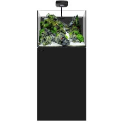 Aquarium AIO 35.2 Noir WATERBOX - 125 L
